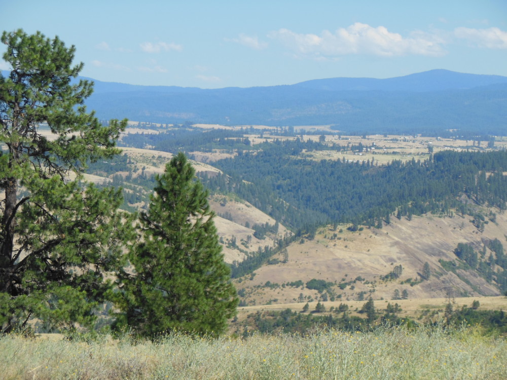 Grangeville Idaho Open Road Press